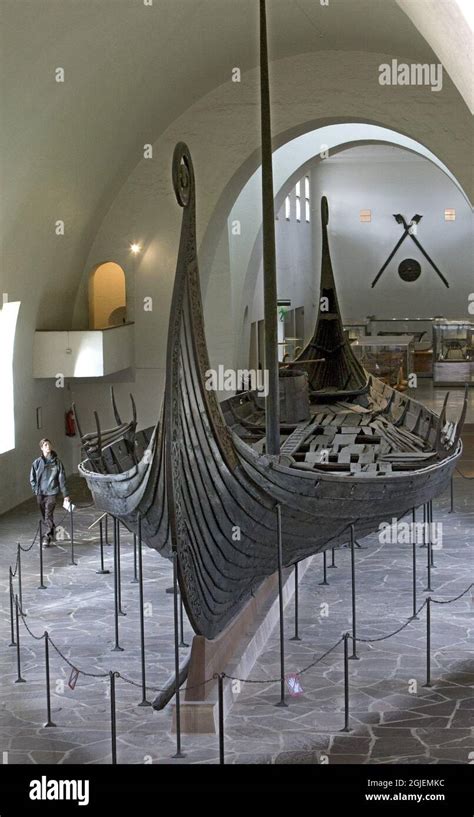 The Oseberg ship inside the Viking Ship Museum part of Museum of ...