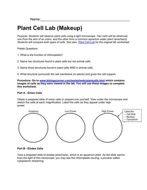 Virtual Microscope Lab Worksheet Answers Virtual Microscope Lab Sheet