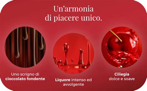 Mon Ch Ri Specialit Al Cioccolato Fondente Con Ripeno Al Liquore