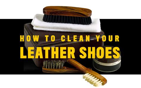 Leather Care Tips Cat Footwear