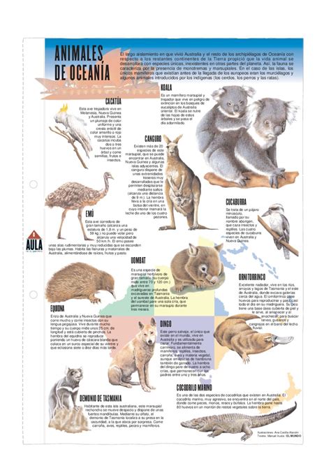 Animales de Oceanía by Pedro Márquez - Issuu