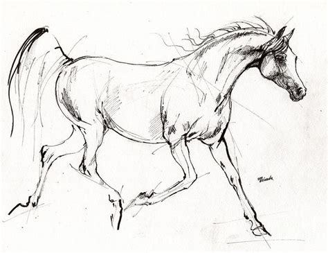 Horses Easy Drawing At Getdrawings Free Download