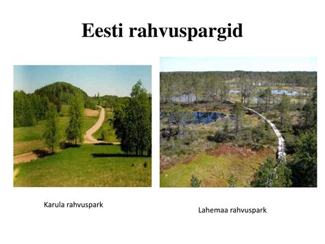 Ppt Eesti Kaitsealad Powerpoint Presentation Free Download Id4560692