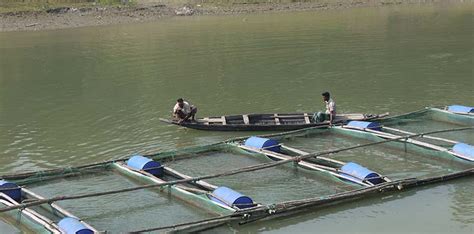 Present Status of Aquaculture | Fish Production in Bangladesh