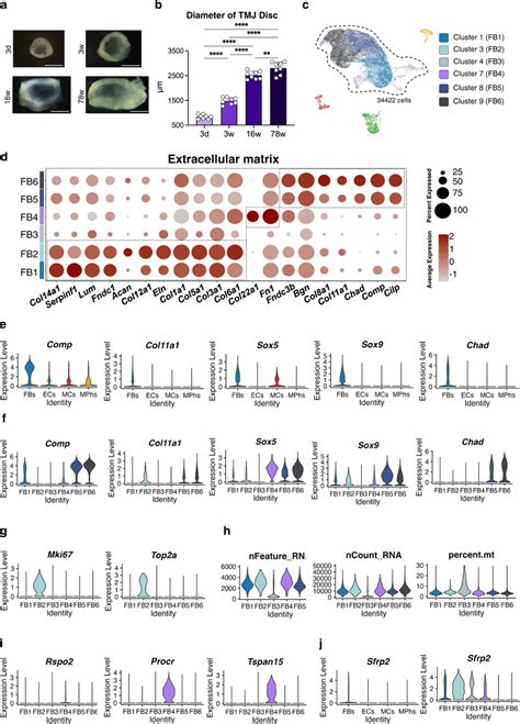 The Differentially Expressed Gene Pattern Distinguishes 6 Fibroblast