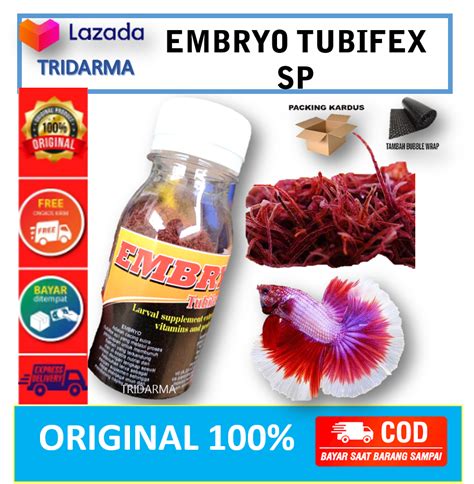 Tridarma Embryo Tubifex Sp Cacing Kering Cacing Sutra Kering Pakan