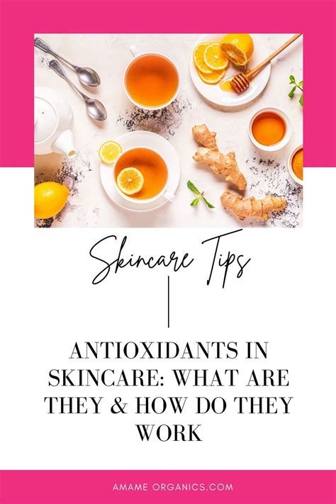 Antioxidants In Skincare What Are They How Do They Work Artofit