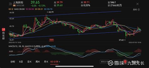 23年7月3日九渊论：（308236）上海新阳 上海新阳sz300236 今日日内主要走了一个小幅度的冲高回落。从60分钟级别来看