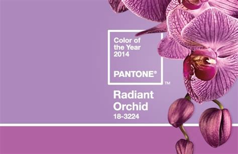 Friday Finds Radiant Orchid Pantone Color Of The Year 2014 Hirshfield S