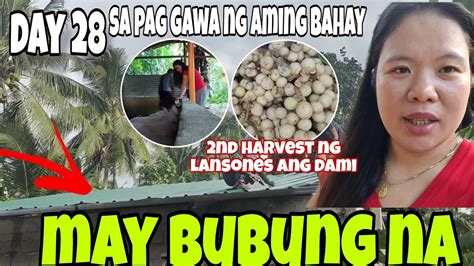 Day Sa Pag Gawa Ng Aming Bahay May Bubung Na Harvest Na Ulit Na