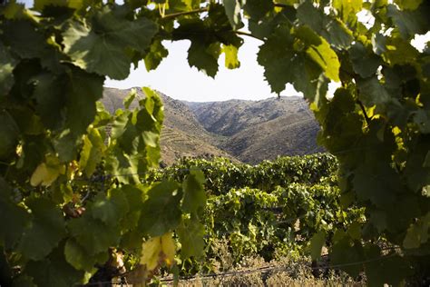 Colinas Do Douro Vinhos De Portugal