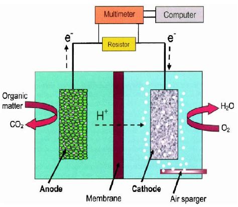 Figure 1 From A Review On Microbial Fuel Cells Semantic Scholar