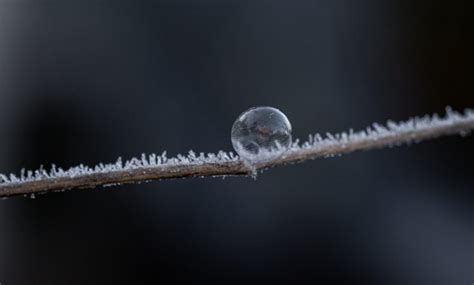 Zo Winters Wordt Het Deze Week OldambtNu Nl