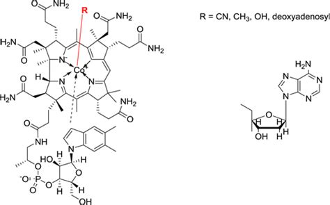 Sorbitol Ring Structure