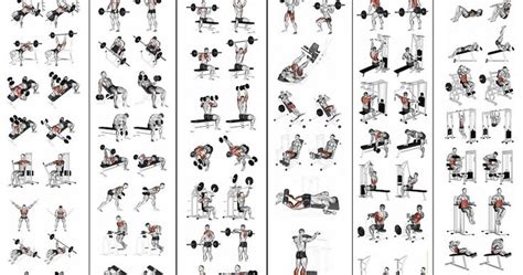 5 Day Workout Routine For Man Gym Workout Chart 5 Day Workout Routine Workout Routine For Men