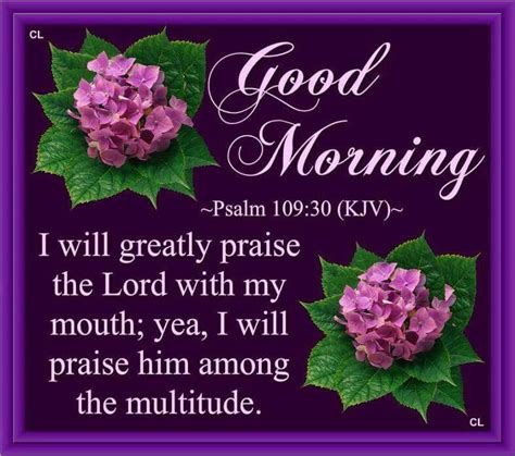 Morning Verses Good Morning Bible Verse Good Morning God Quotes