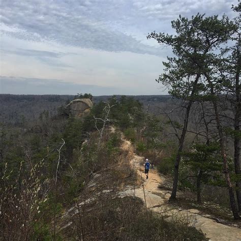 Auxier Ridge Trail, Red River Gorge, Kentucky, USA : r/hiking