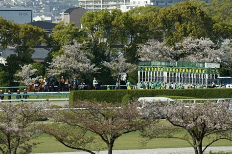 藤田菜七子「単勝3562倍」大激走で特大馬券を演出！ 日本ダービー（g1）1番人気馬に食い下がった「大物候補」が完勝デビュー！ キタサン