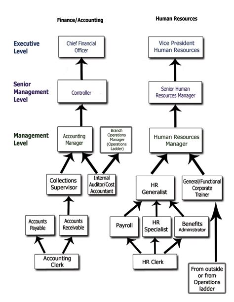 Career Ladder For Administration And Office Finance Duties Your Career Path Pinterest