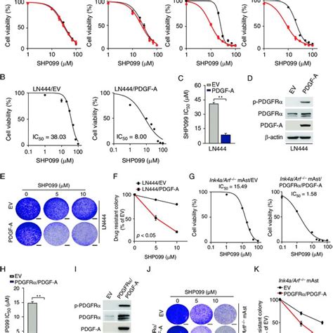 Gscs Are More Responsive To Shp Treatment Than Npcs A Viability