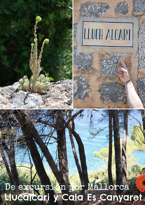 Llucalcari Y Cala Es Canyaret De Excursi N Por Mallorca