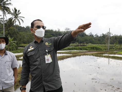 Program Optimasi Lahan Kering Tingkatkan Indeks Pertanaman Dan