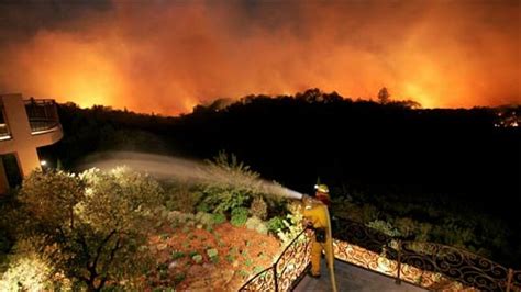 Peste Un Milion De Animale Si Au Pierdut Viata In Incendiile Din