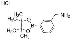 4 Aminomethyl Phenylboronic Acid Pinacol Ester 97 850568 55 7