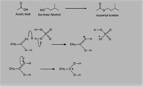 [Solved] Synthesis of isopentyl acetate (banana oil) Isopentyl acetate can... | Course Hero