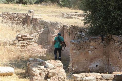 Efelerden Tralleis Antik Kentinde Kuru Ot Temizli I