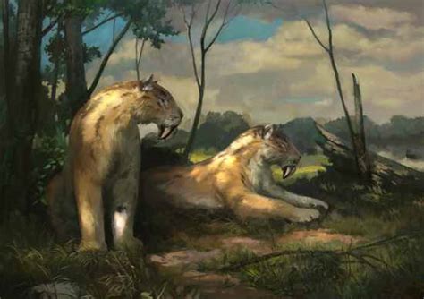 Barbourofelis Vs Smilodon