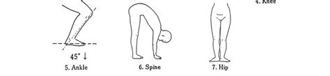 The University of Tokyo joint laxity test. Laxity of six major joints... | Download Scientific ...