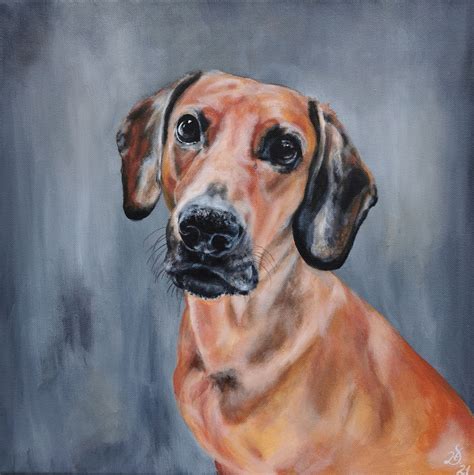 Bild Hund R De Portrait Schweisshund Von Heike Deininger Kunstnet