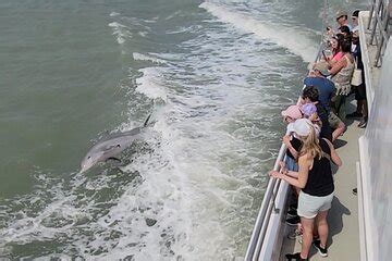 South Padre Island Dolphin Watching Boat Tour 2024