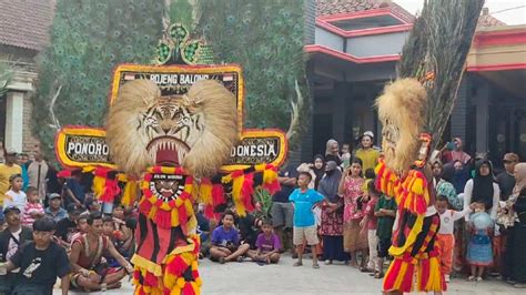 Jos Lurr Solah Hebat Dadak Merak Reog Ponorogo Guncangkan Desa