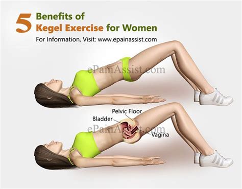 Benefits Of Kegel Exercises For Pregnancy Exercise Poster