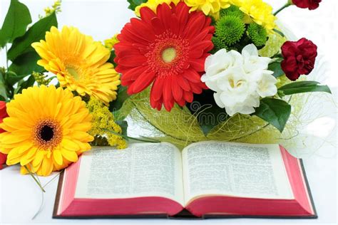 565 Open Bible Flowers Stock Photos Free And Royalty Free Stock Photos