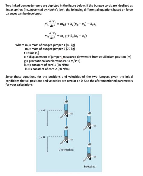 Solved Two Linked Bungee Jumpers Are Depicted In The Figure Chegg