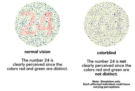 Red Green Color Blindness Is Inherited As An X Linked Recess Quizlet