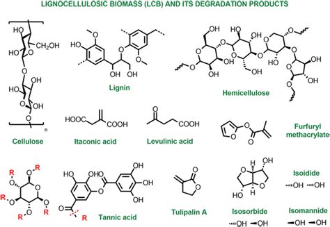 Examples Of Lignocellulosic Biomass And Its Degradation Products Download Scientific Diagram