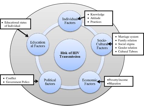 Structural Functional Systems Theory Ressnic