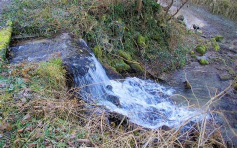 Ruisseau Se Jetant Dans L Allier