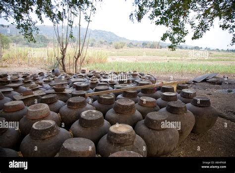 Fermentation of local Rice Wine, Ilocos Norte, Philippines Stock Photo ...