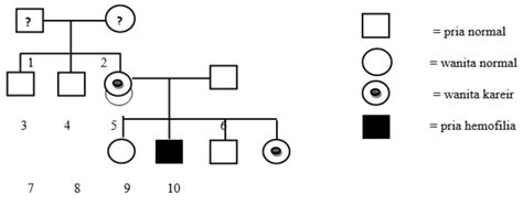 Perhatikan Peta Silsilah Keturunan Hemofilia Berikut Dari Peta Porn