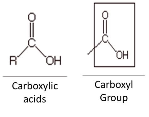 Carboxyl Group Carboxylic Acid Definition Structure Videos