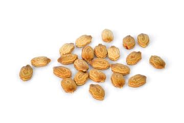 223 Karela Seeds Stock Photos - Free & Royalty-Free Stock Photos from ...