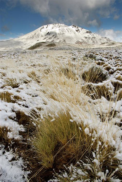 Perito Moreno National Park Photograph by Javier Etcheverry