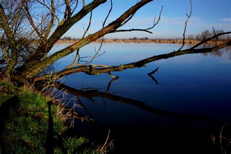 Eiland Van Meijer Door Angel Bakker Terneuzen Landschap Omroep