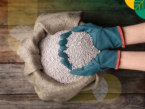 pupuk majemuk berbasis mineral solusi atasi harga pupuk  tinggi