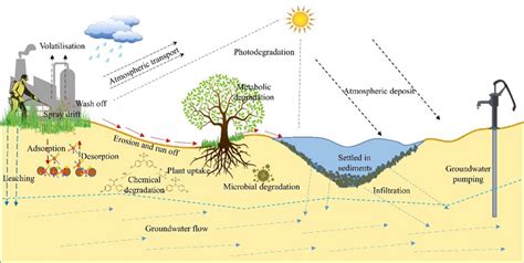 Conceptual Model Of Fate And Transport Of Pesticides In The